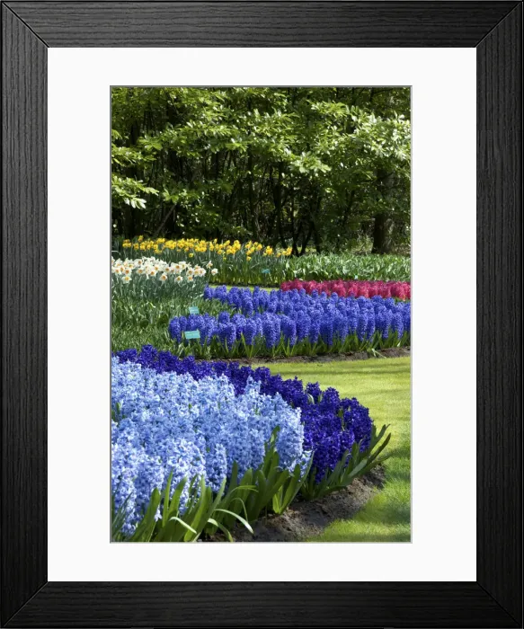 Framed Print : DDE-90033224 Framed Print : DDE-90033224