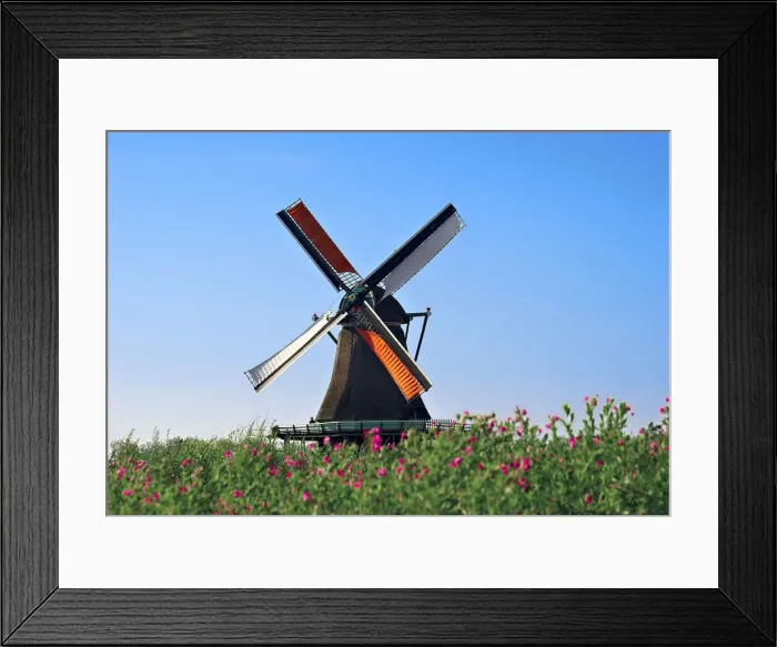 Framed Print : DDE-90033229
