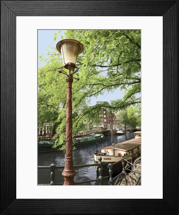 Framed Print : DDE-90033233