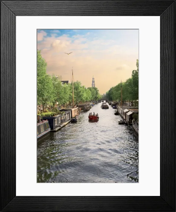 Framed Print : DDE-90033238
