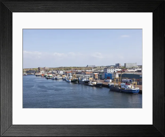 Framed Print : DDE-90033239 Framed Print : DDE-90033239