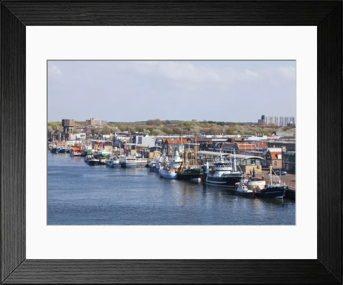 Framed Print : DDE-90033240 Framed Print : DDE-90033240