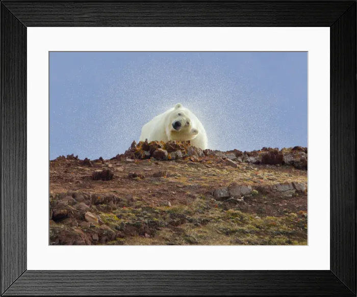 Framed Print : DDE-90033252 Framed Print : DDE-90033252