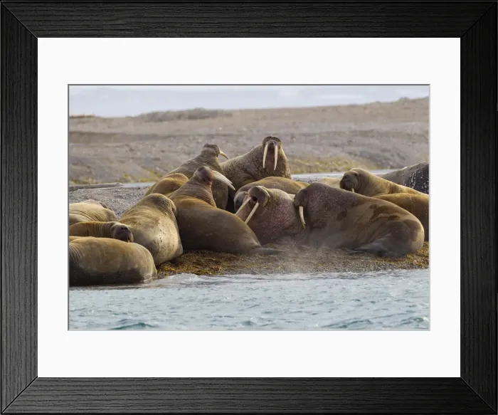 Framed Print : DDE-90033253