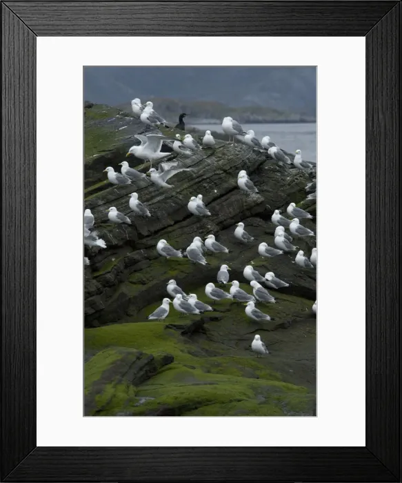 Framed Print : DDE-90033280