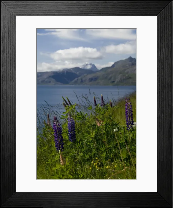 Framed Print : DDE-90033297 Framed Print : DDE-90033297
