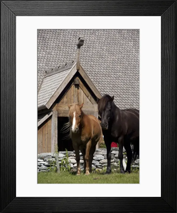 Framed Print : DDE-90033300 Framed Print : DDE-90033300