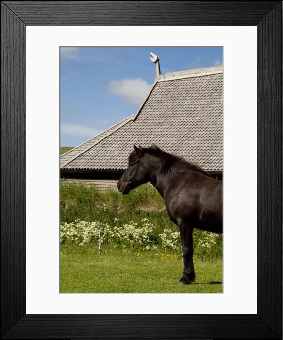 Framed Print : DDE-90033301 Framed Print : DDE-90033301