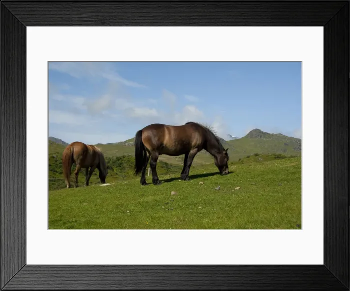 Framed Print : DDE-90033303 Framed Print : DDE-90033303