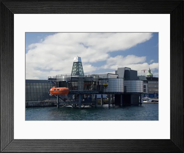 Framed Print : DDE-90033344 Framed Print : DDE-90033344