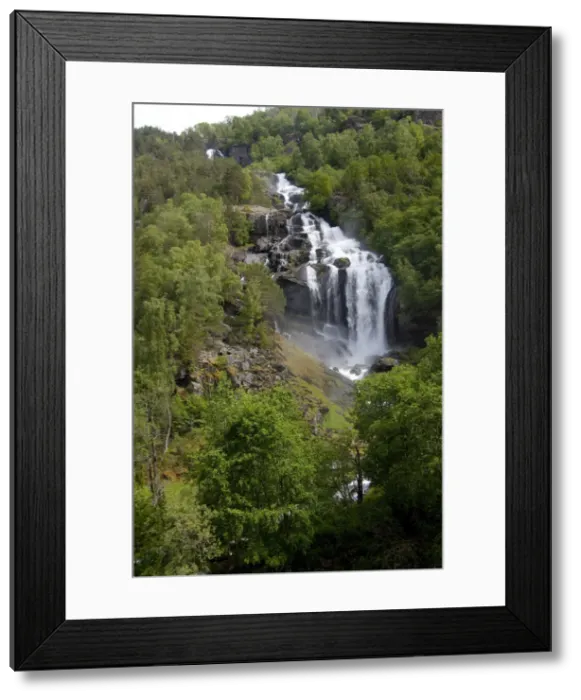 Framed Print : DDE-90033356 Framed Print : DDE-90033356