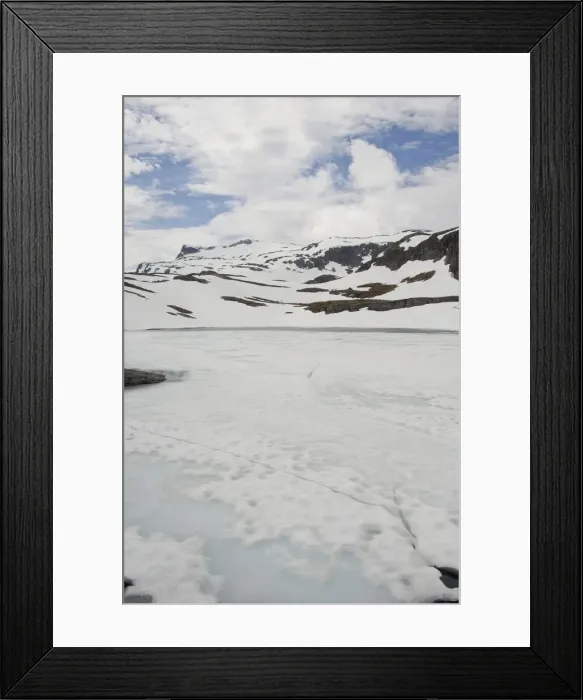Framed Print : DDE-90033360