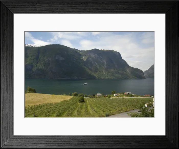 Framed Print : DDE-90033367 Framed Print : DDE-90033367