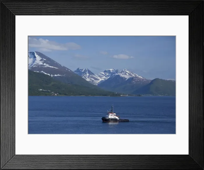 Framed Print : DDE-90033379