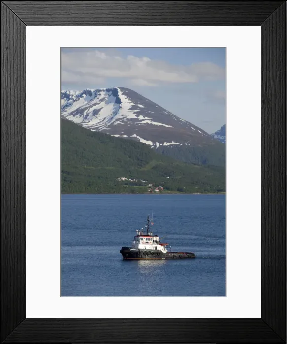 Framed Print : DDE-90033380