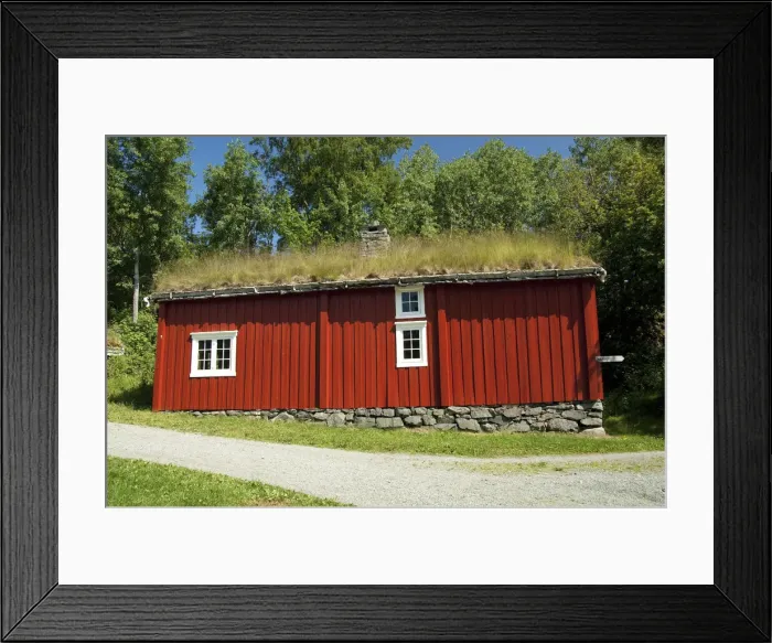 Framed Print : DDE-90033401