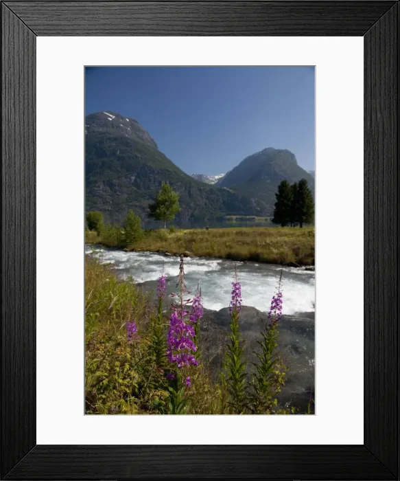 Framed Print : DDE-90033427 Framed Print : DDE-90033427