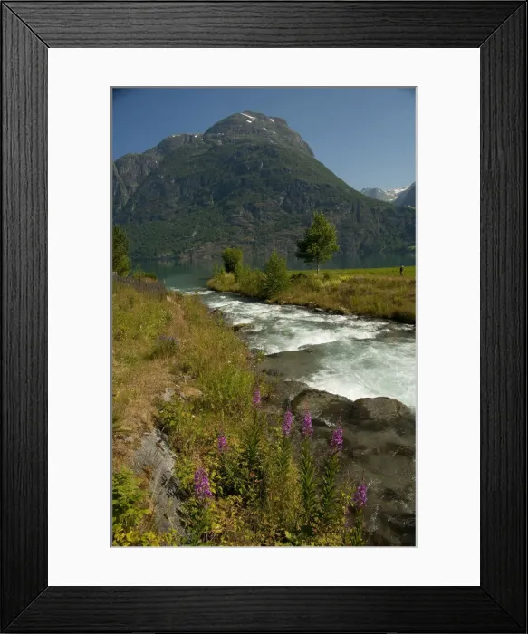 Framed Print : DDE-90033426