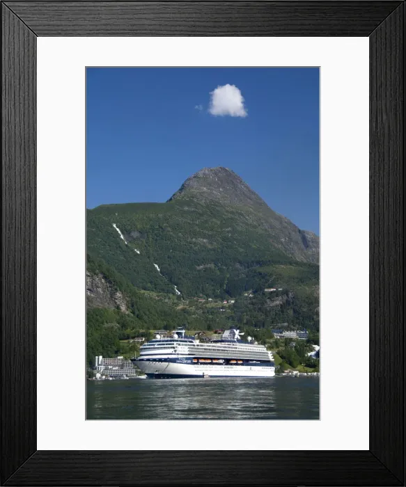 Framed Print : DDE-90033446