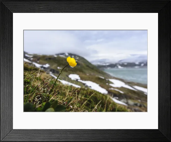 Framed Print : DDE-90033462 Framed Print : DDE-90033462