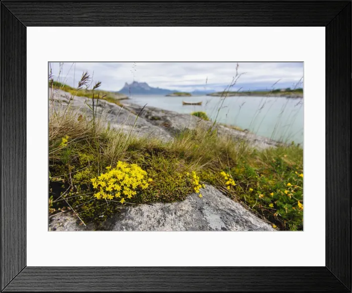 Framed Print : DDE-90033475 Framed Print : DDE-90033475