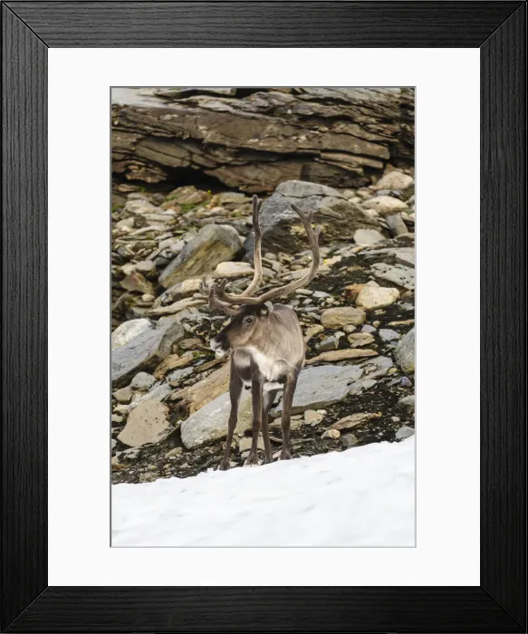 Framed Print : DDE-90033487 Framed Print : DDE-90033487
