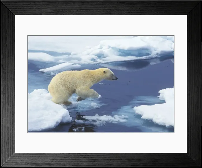Framed Print : DDE-90033495 Framed Print : DDE-90033495
