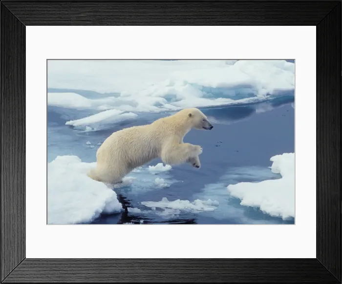 Framed Print : DDE-90033496