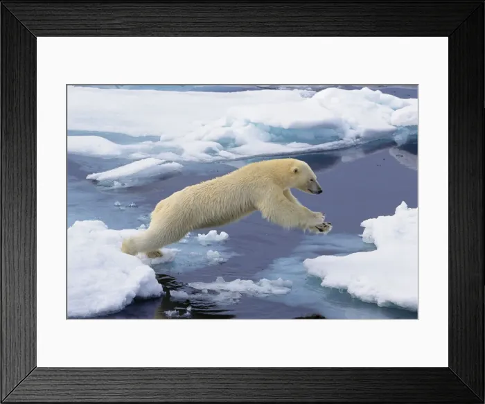 Framed Print : DDE-90033497 Framed Print : DDE-90033497