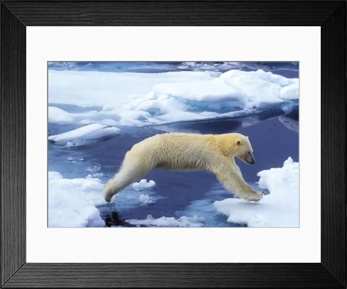 Framed Print : DDE-90033498 Framed Print : DDE-90033498