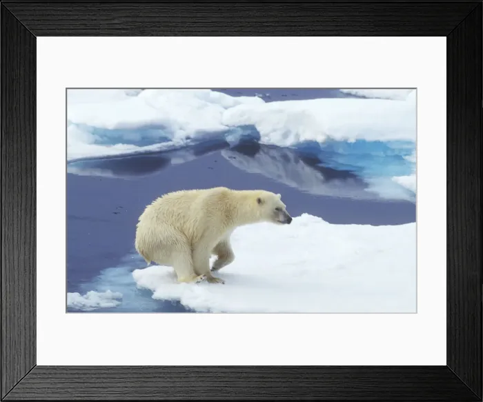 Framed Print : DDE-90033500