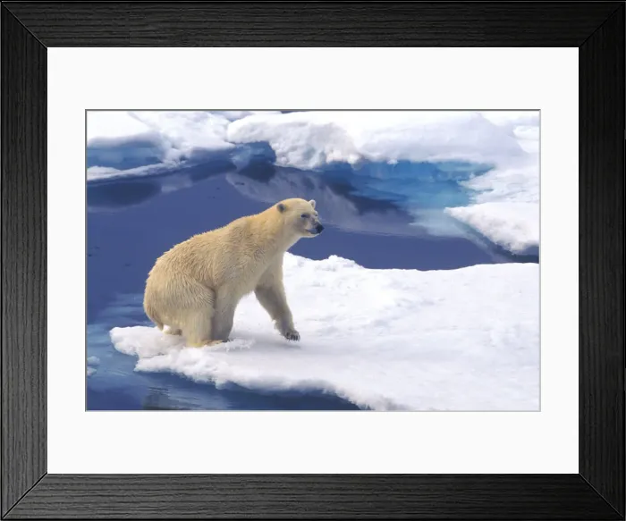 Framed Print : DDE-90033501 Framed Print : DDE-90033501