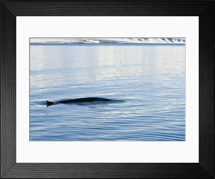 Framed Print : DDE-90033511 Framed Print : DDE-90033511