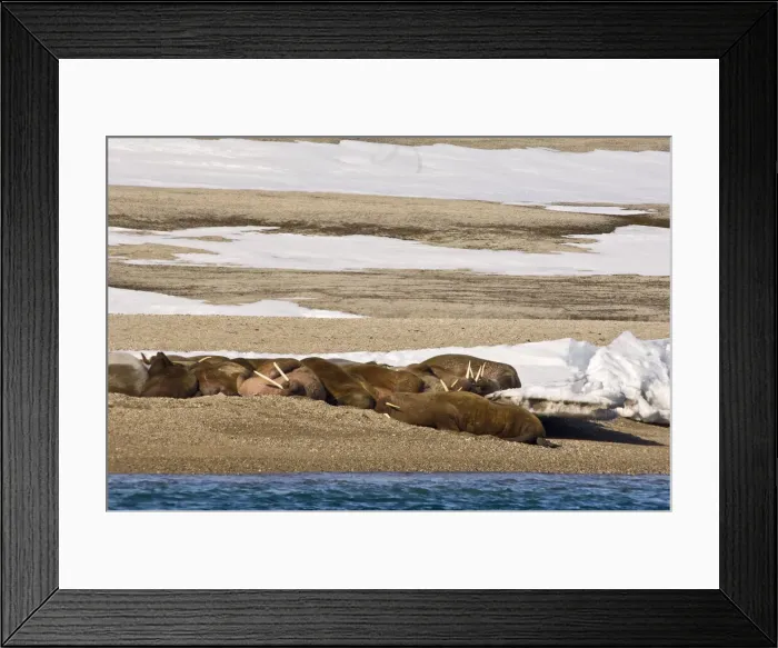 Framed Print : DDE-90033512 Framed Print : DDE-90033512