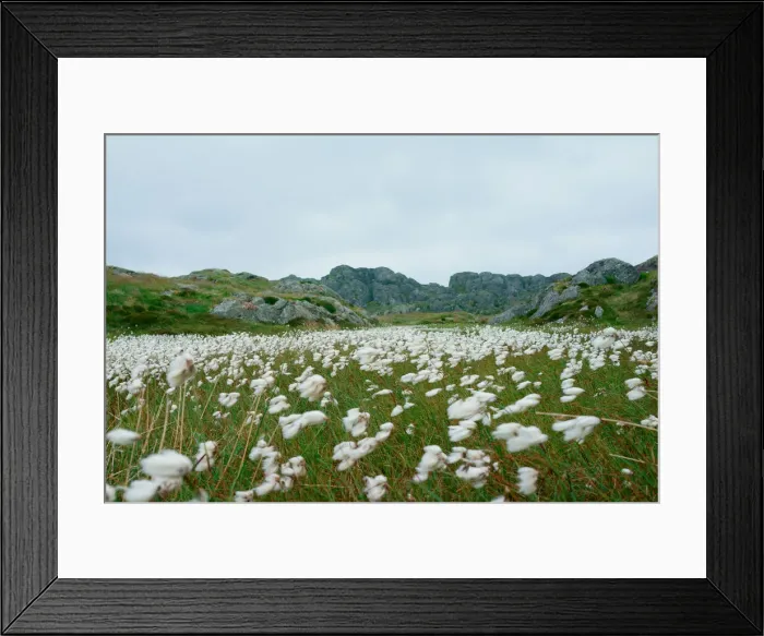 Framed Print : DDE-90033519