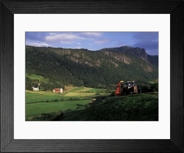 Framed Print : DDE-90033522