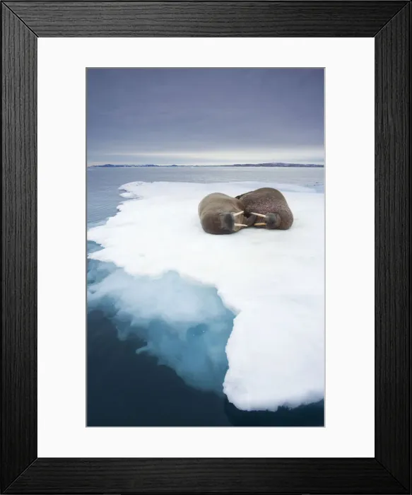 Framed Print : DDE-90033532 Framed Print : DDE-90033532