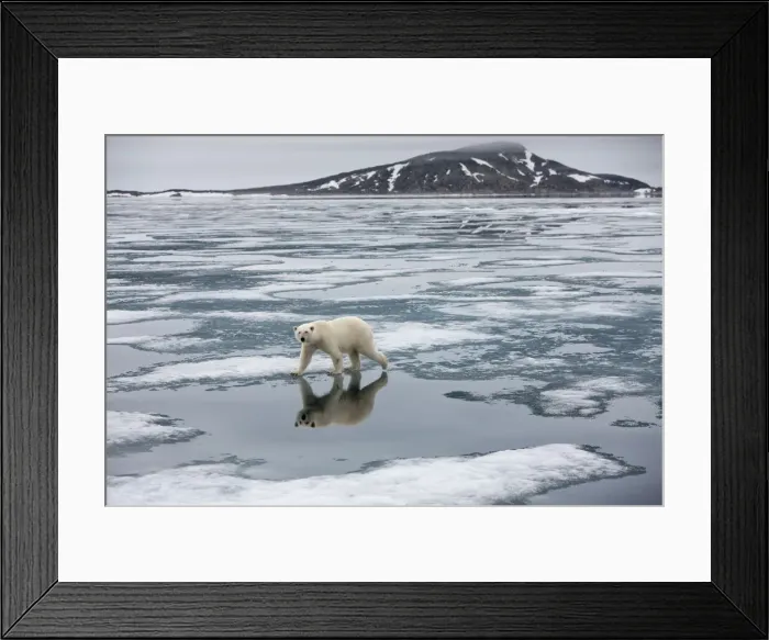Framed Print : DDE-90033548 Framed Print : DDE-90033548