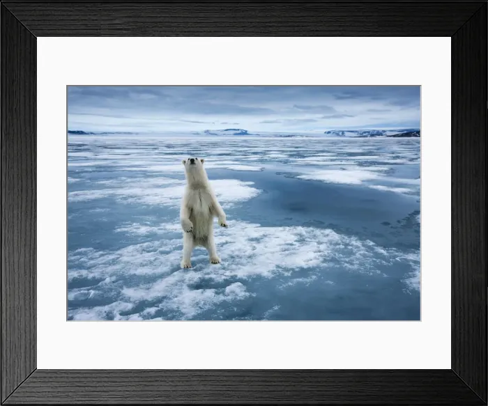 Framed Print : DDE-90033552 Framed Print : DDE-90033552