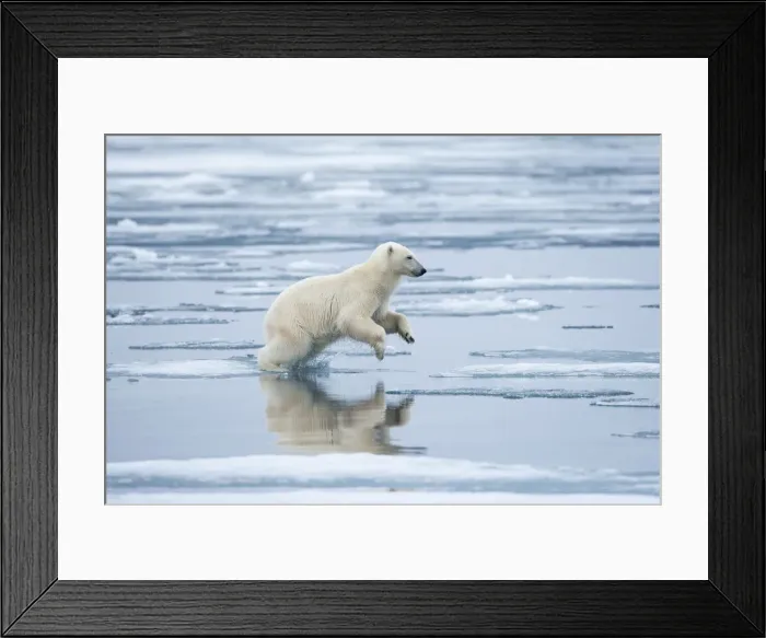 Framed Print : DDE-90033561 Framed Print : DDE-90033561
