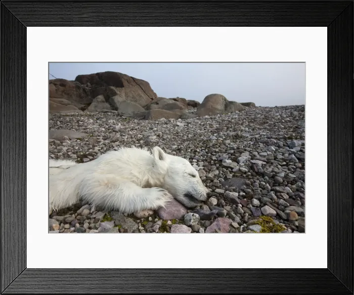 Framed Print : DDE-90033560 Framed Print : DDE-90033560
