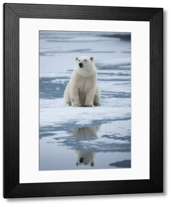 Framed Print : DDE-90033565 Framed Print : DDE-90033565
