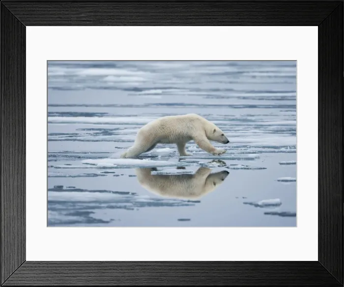 Framed Print : DDE-90033566 Framed Print : DDE-90033566