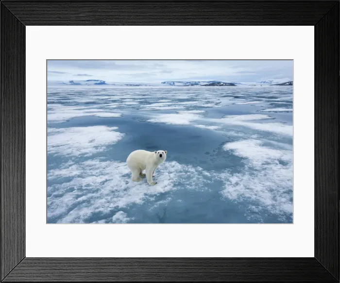 Framed Print : DDE-90033567 Framed Print : DDE-90033567