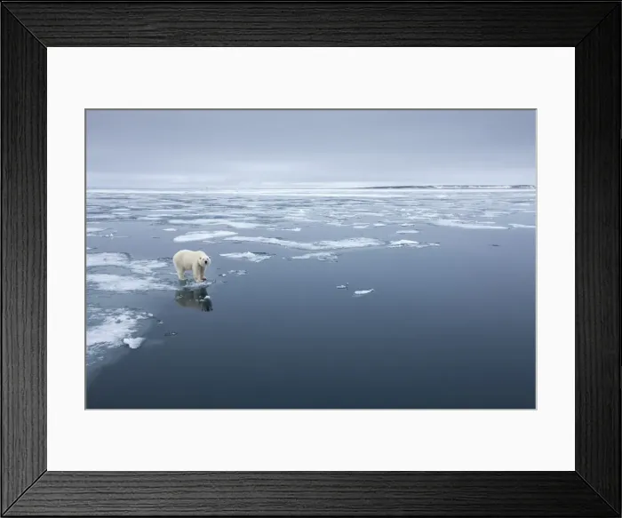 Framed Print : DDE-90033568 Framed Print : DDE-90033568