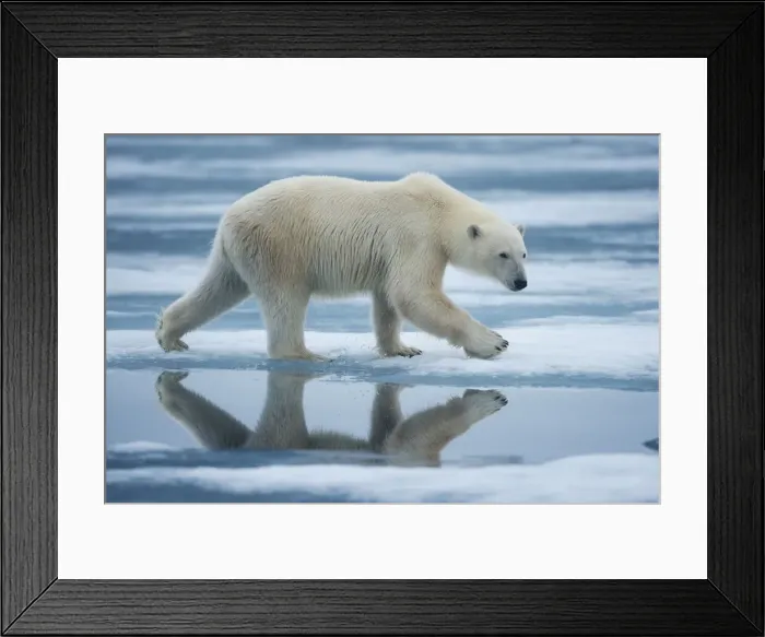 Framed Print : DDE-90033570 Framed Print : DDE-90033570
