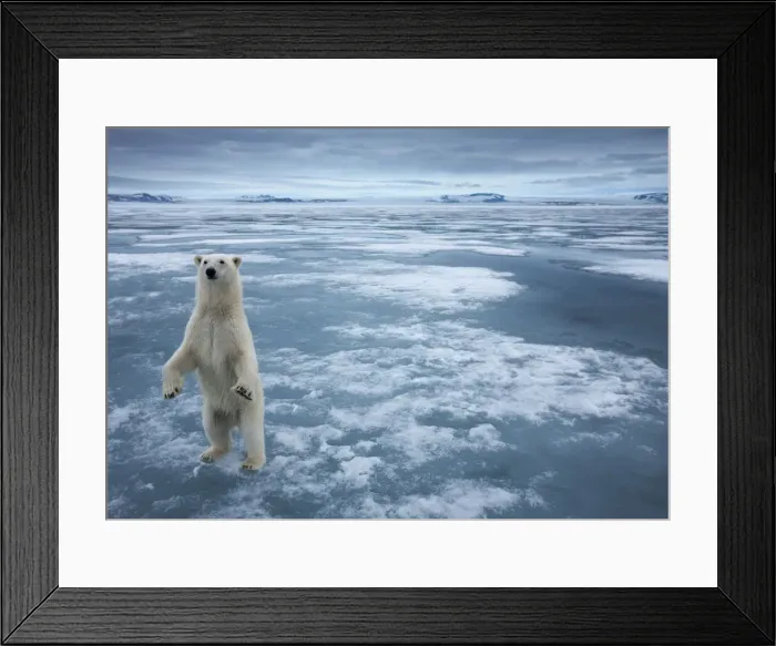 Framed Print : DDE-90033569 Framed Print : DDE-90033569