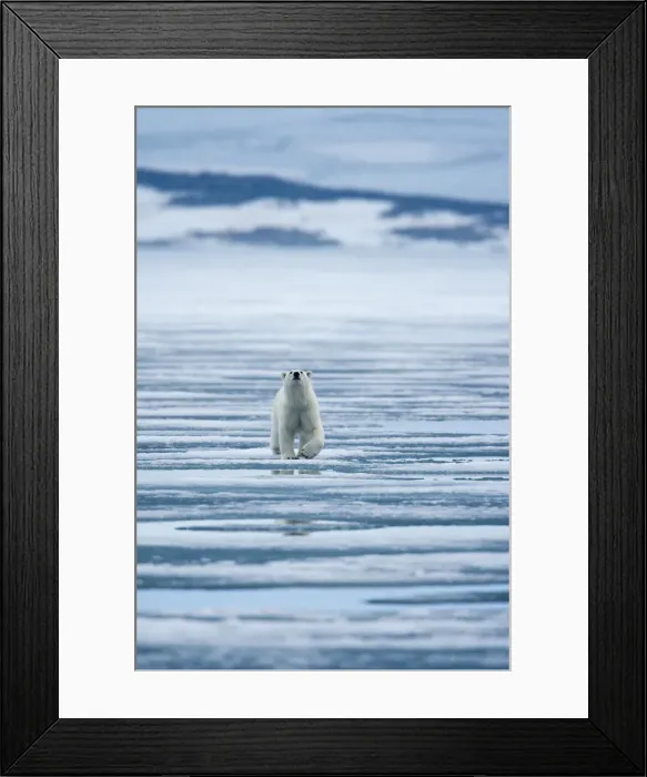 Framed Print : DDE-90033572 Framed Print : DDE-90033572