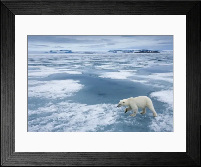 Framed Print : DDE-90033573 Framed Print : DDE-90033573