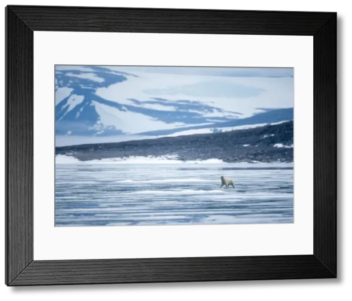 Framed Print : DDE-90033571 Framed Print : DDE-90033571